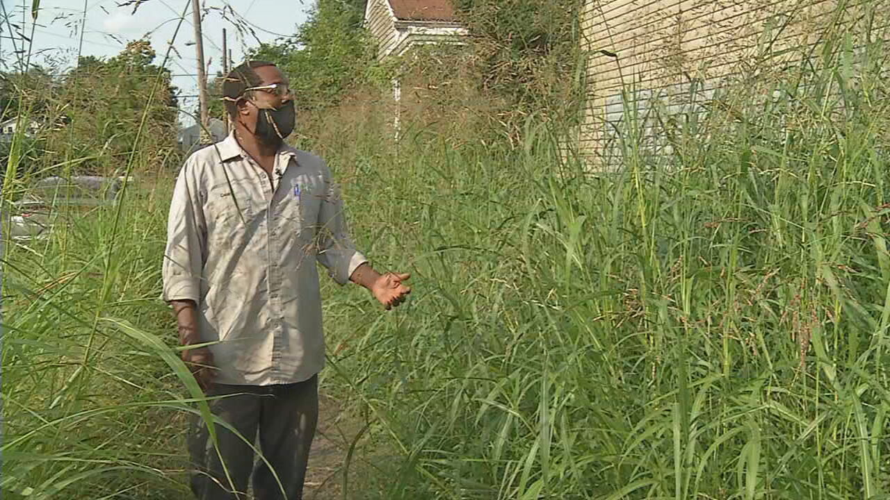 Tall Grass.jpeg